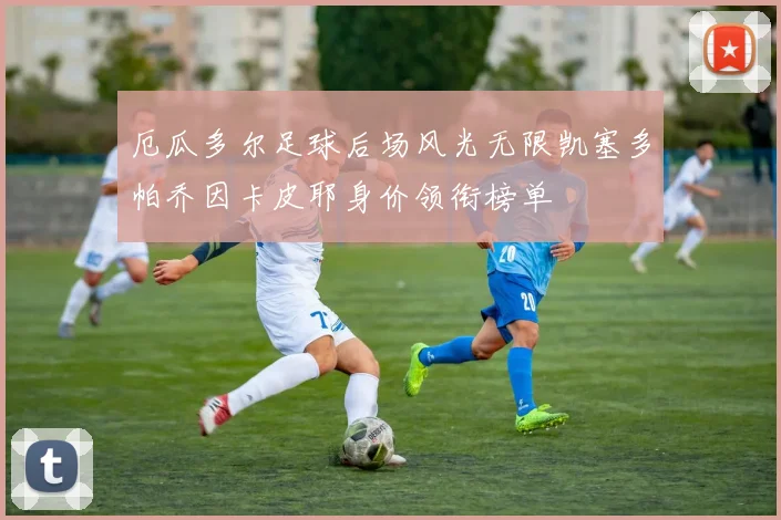 厄瓜多尔足球后场风光无限凯塞多帕乔因卡皮耶身价领衔榜单